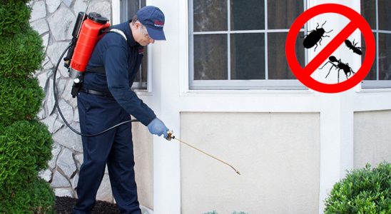 Sarıoğlan Böcek ve Haşere İlaçlama böcek ilaçlama ve haşere kontrolü — ilaclama-tr.com